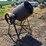belt-powered-cement-mixer-image-1