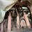 #6233-•-vintage-american-seeding-machine-drill-image-18