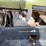 1996-polaris-sportsman-image-5