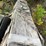 #6233-•-vintage-american-seeding-machine-drill-image-9