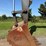 2019-deere-350g-lc-image-9