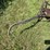14”-walking-plow-image-15