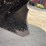 #1243-•-1993-starcraft-191-fiberglass-boat-(has-wi-title)-image-52