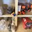 wall-section-(14)-boxes-of-nitrile-gloves,-(200+)-pairs-g-grip-gloves,-blakc-dot-gloves,-flame-resistant,-anit-seize,-&-related-image-2