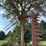 #3846-•-international-sickle-mower-image-28