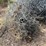#3859-•-(3)-rolls-of-chain-link-fencing-image-17