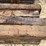 #3446-•-bundle-of-(16)-railroad-ties-image-7