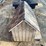 #3873-•-home-made-doghouse-image-6