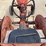 #312-•-1950-alice-chalmers-c-tractor-image-12