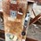 #5515-•-dan-dee-approx-125'-stacker-conveyor-image-50