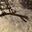 #3868-•-spike-tooth-harrow-drag-image-14