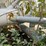 #339-•-schenck-process-industrial-dust-blower-&-cyclone-system-image-17