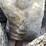 #3878-•-(4)-rolls-of-barb-wire-fencing-image-15