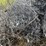 #3859-•-(3)-rolls-of-chain-link-fencing-image-16