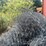 #3859-•-(3)-rolls-of-chain-link-fencing-image-15