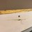 #1243-•-1993-starcraft-191-fiberglass-boat-(has-wi-title)-image-24
