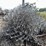 #3859-•-(3)-rolls-of-chain-link-fencing-image-8