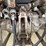 massey-ferguson-265-image-48