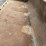 84"-smooth-skid-steer-bucket-image-7
