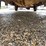 2005-ford-cargo-image-24