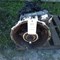 hampton,-ga-/-jasper,-al-ring-2-image-5