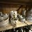 3rd-shelf-w/-(30+)-2”-thru-4”-alum-camlock-fittings-image-3