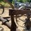 #3867-•-spring-tooth-harrow-drag-image-24