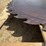 #3863-•-circular-sawmill-buzz-saw-blade-image-5