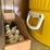 top-shelf-w/-(3)-10-gal-igloo-drinking-coolers,-(1)-gpi-alum-hp-100-hand-pump,-(2)eagel-5-gal.-safety-cans-image-3
