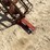 #1242-•-westfield-wr80-31-grain-auger-image-16