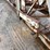 #5515-•-dan-dee-approx-125'-stacker-conveyor-image-54