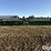 2017-john-deere-640fd-image-6