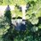 #61000-•-2-bedroom-1-bath-home---8744-musky-point-rd,-tomahawk-wi-image-4