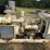 kohler-100-kw-image-5