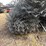#3859-•-(3)-rolls-of-chain-link-fencing-image-9