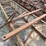 #5515-•-dan-dee-approx-125'-stacker-conveyor-image-12