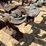 #3867-•-spring-tooth-harrow-drag-image-22