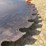 #3862-•-circular-sawmill-buzz-saw-blade-image-6