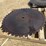 #3863-•-circular-sawmill-buzz-saw-blade-image-2