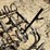 #3867-•-spring-tooth-harrow-drag-image-12