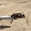 #1243-•-1993-starcraft-191-fiberglass-boat-(has-wi-title)-image-111