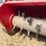 #3861-•-future-mulcher-skid-steer-attachment-image-10