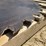 #3863-•-circular-sawmill-buzz-saw-blade-image-4