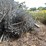 #3859-•-(3)-rolls-of-chain-link-fencing-image-10