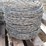 #3878-•-(4)-rolls-of-barb-wire-fencing-image-6