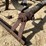 #3867-•-spring-tooth-harrow-drag-image-25