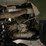 2007-polaris-sportsman-450-image-71