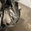 #1251-•-1986-harley-davidson-electric-glide-classic-motorcycle-(has-wi-title)-image-21
