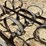 #3867-•-spring-tooth-harrow-drag-image-13