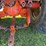 allis-chalmers-d21-image-17